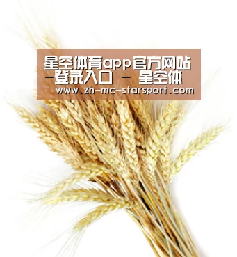 星空体育app官方网站-登录入口 - 星空体育官网