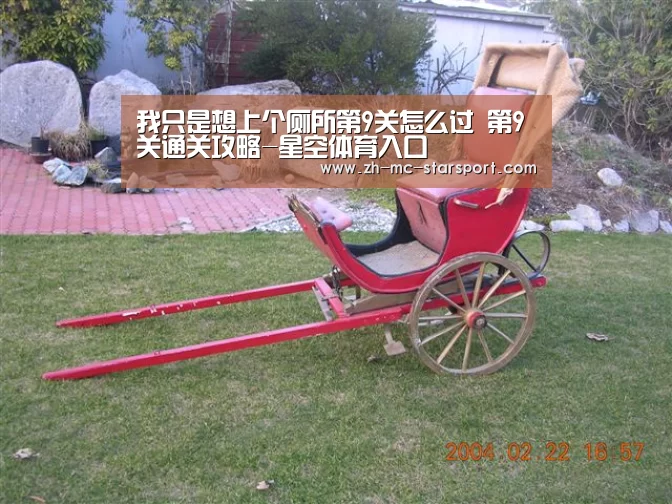 我只是想上个厕所第9关怎么过 第9关通关攻略-星空体育入口(图1) 星空体育网址