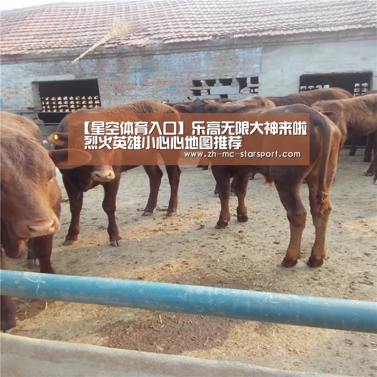 【星空体育入口】乐高无限大神来啦 烈火英雄小心心地图推荐(图2) 星空体育网址